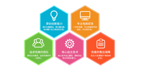 電商網站軟件服務與電子商務技術服務 構建高效在線商業(yè)生態(tài)的核心支柱