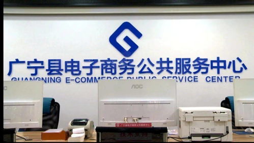 完善服務體系，技術賦能電商 我縣電子商務發(fā)展的新篇章