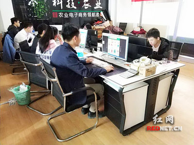 輸血變造血 衡陽市雁峰區以計算機技術培訓為抓手，走深走實產業扶貧路