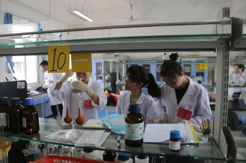 探索食品中的科學(xué) 食品科技學(xué)院風(fēng)貌及其在計算機(jī)技術(shù)培訓(xùn)中的融合